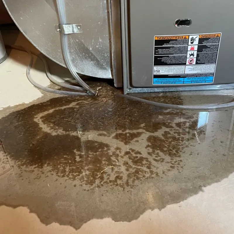 Pipe Burst and Leak Restoration in Murray County, OK