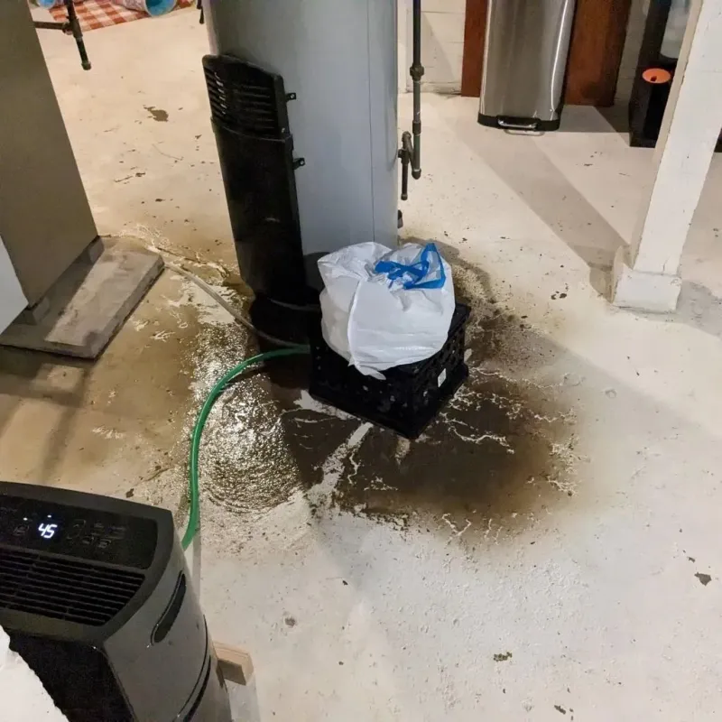 Sewage Backup Cleanup Service in Murray County, OK
